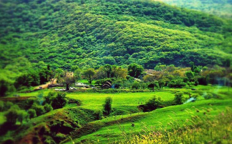 طبیعت زیبای روستای افجه